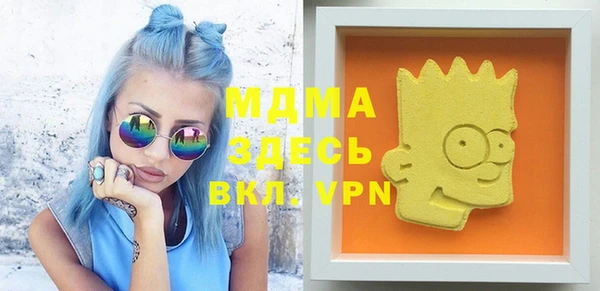 индика Алексин