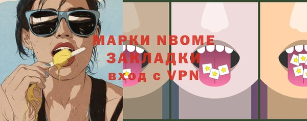 индика Алексин