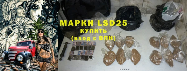 индика Алексин