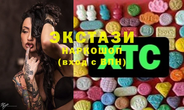 индика Алексин