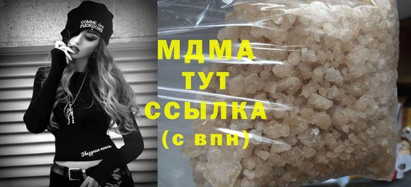 индика Алексин
