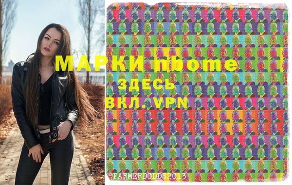 индика Алексин